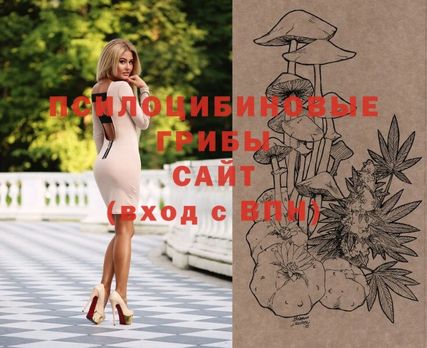 круглые Алексеевка