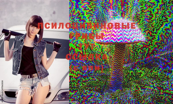 круглые Алексеевка