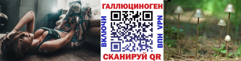 Галлюциногенные грибы ЛСД  где можно купить   Гдов 